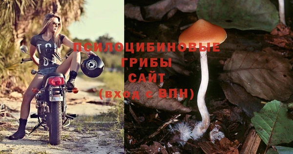 меф Новозыбков