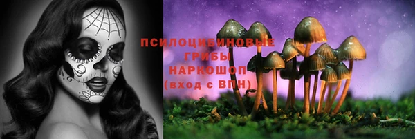 винт Новокубанск