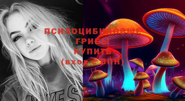 бутират Нягань