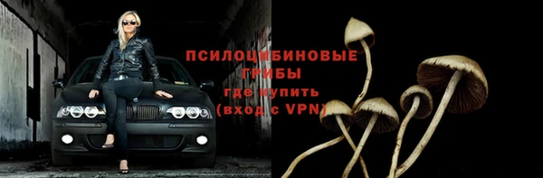 винт Новокубанск