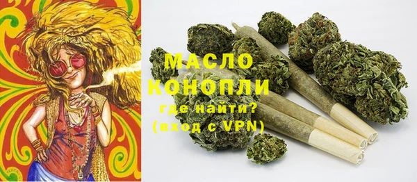 прущие грибы Няндома